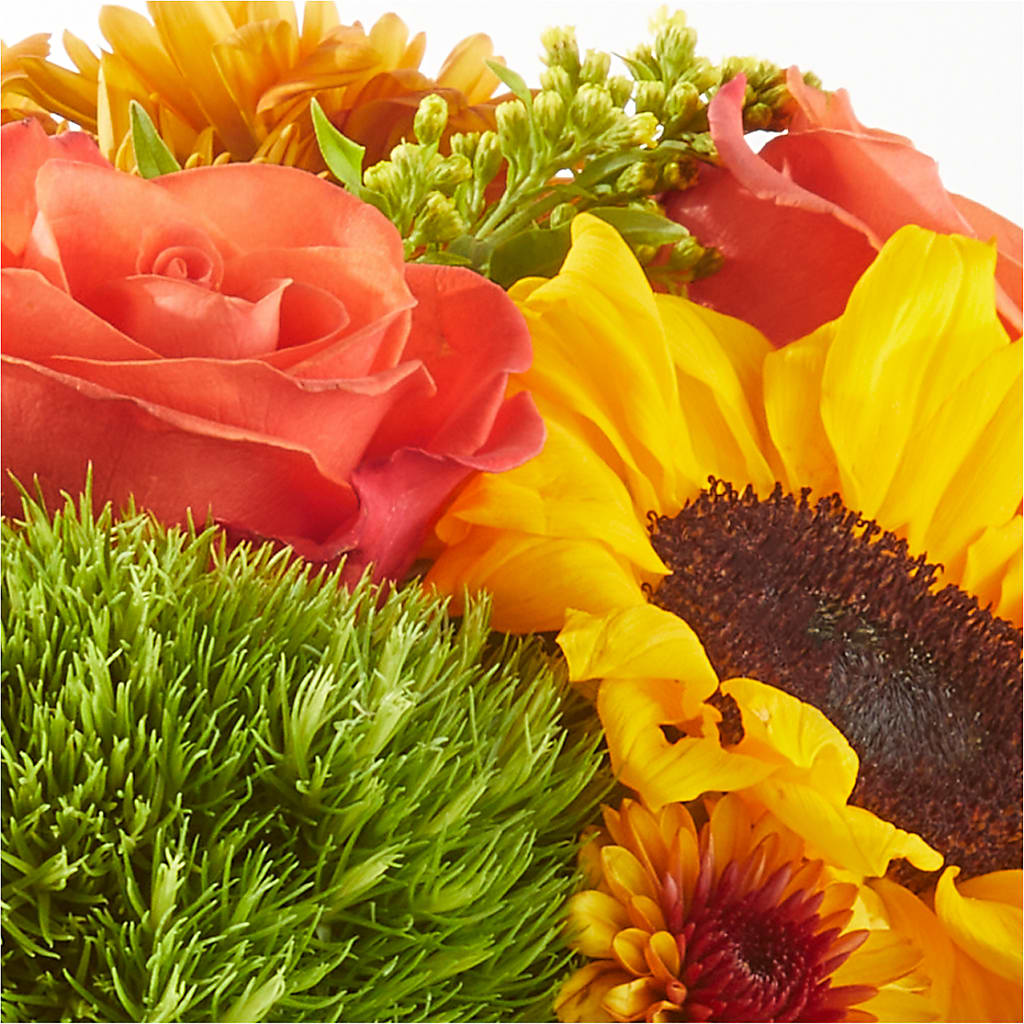 Farmer’s Market Stroll Bouquet –  Flowers The Bouquet Of Roses, Tampa FL