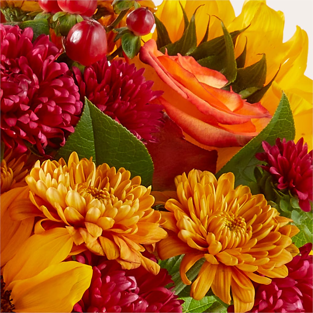 Sweater Season - A Florist Original –  Flowers The Bouquet Of Roses, Tampa FL