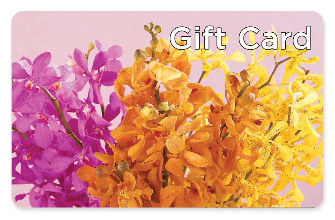Gift Card –  Flowers The Bouquet Of Roses, Tampa FL