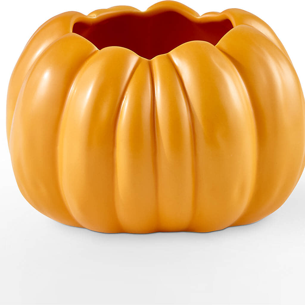 Golden Gourd Pumpkin Bouquet –  Flowers The Bouquet Of Roses, Tampa FL