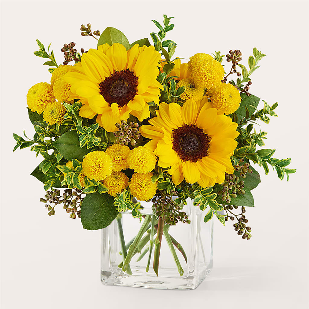 Luminous Morning Bouquet –  Flowers The Bouquet Of Roses, Tampa FL