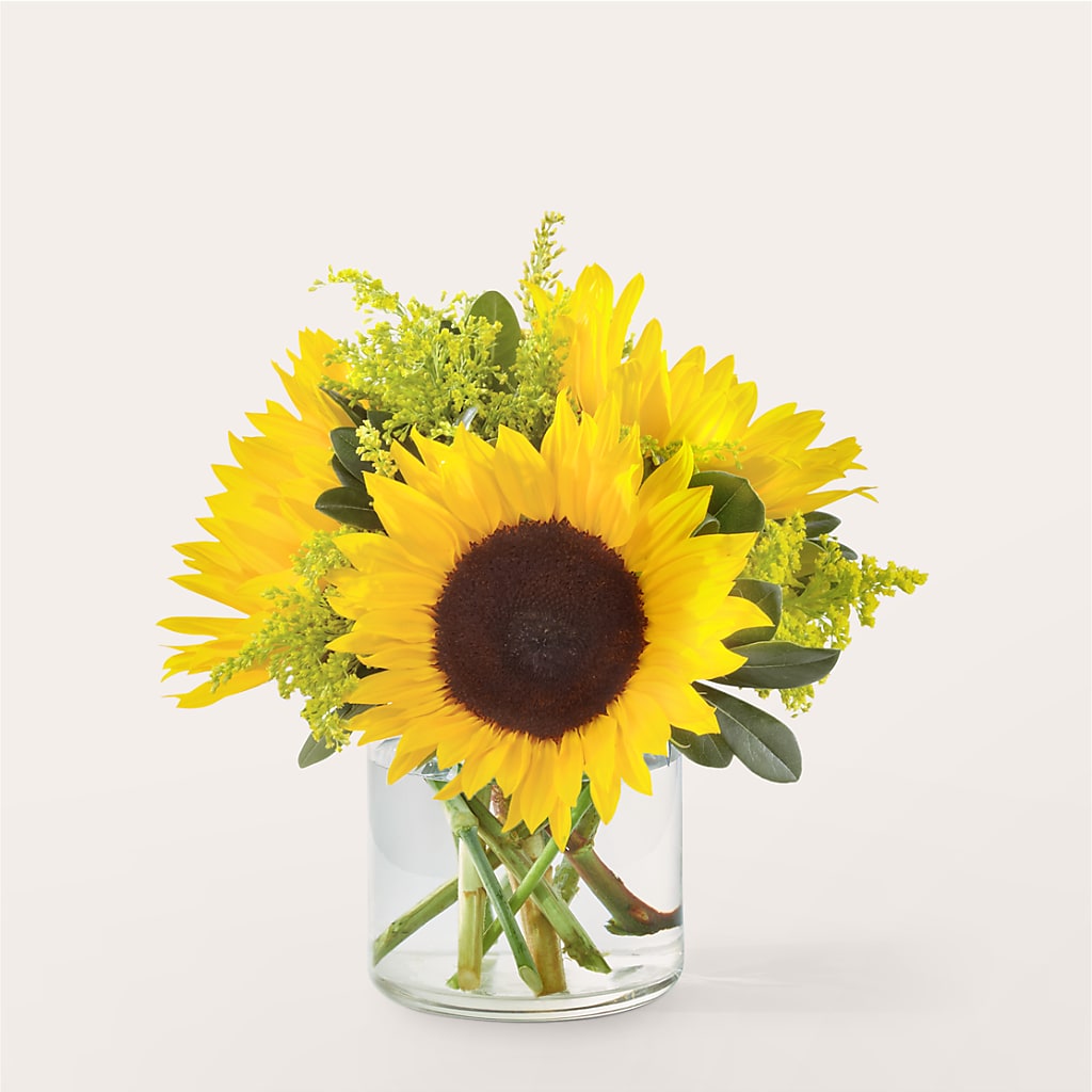Beaming Sunflower Bouquet –  Flowers The Bouquet Of Roses, Tampa FL