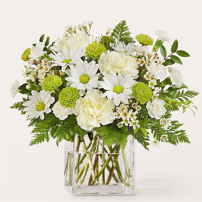 Momentary Meditation Bouquet –  Flowers The Bouquet Of Roses, Tampa FL