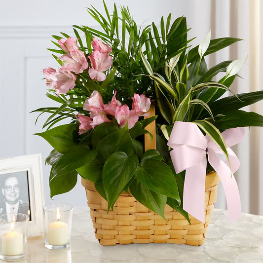 Living Spirit Dishgarden –  Flowers The Bouquet Of Roses, Tampa FL