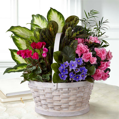 Peaceful Garden Planter –  Flowers The Bouquet Of Roses, Tampa FL