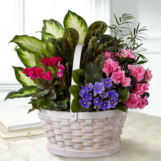 Peaceful Garden Planter –  Flowers The Bouquet Of Roses, Tampa FL