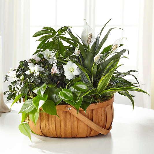 Serene Dishgarden –  Flowers The Bouquet Of Roses, Tampa FL