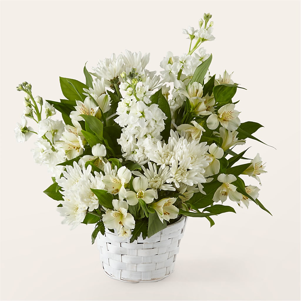 Eternal Affection Arrangement –  Flowers The Bouquet Of Roses, Tampa FL