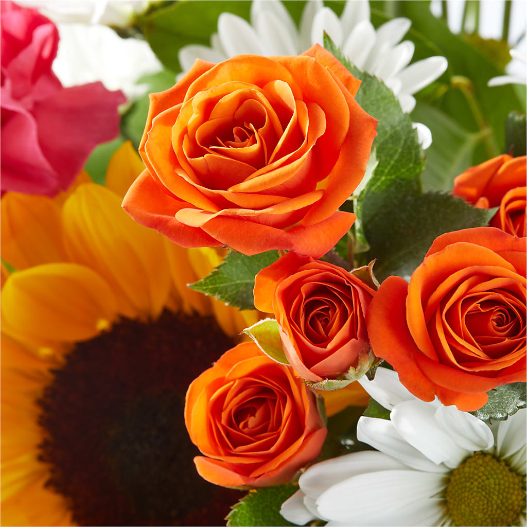 Sun-drenched Blooms Bouquet –  Flowers The Bouquet Of Roses, Tampa FL