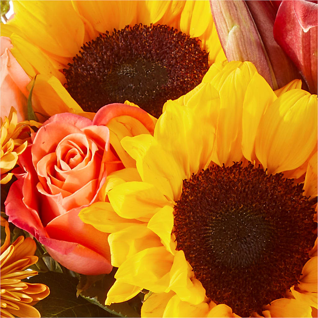 Acorn Lane Bouquet –  Flowers The Bouquet Of Roses, Tampa FL