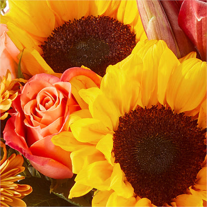Acorn Lane Bouquet –  Flowers The Bouquet Of Roses, Tampa FL