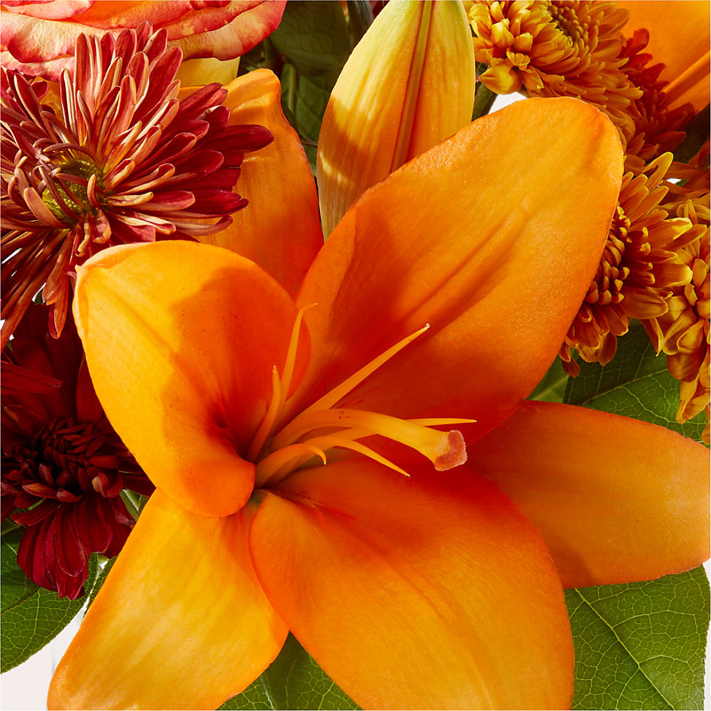 Autumnal Aroma Bouquet –  Flowers The Bouquet Of Roses, Tampa FL