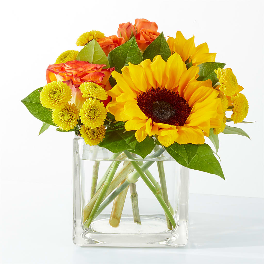 Picnic in the Park Bouquet –  Flowers The Bouquet Of Roses, Tampa FL