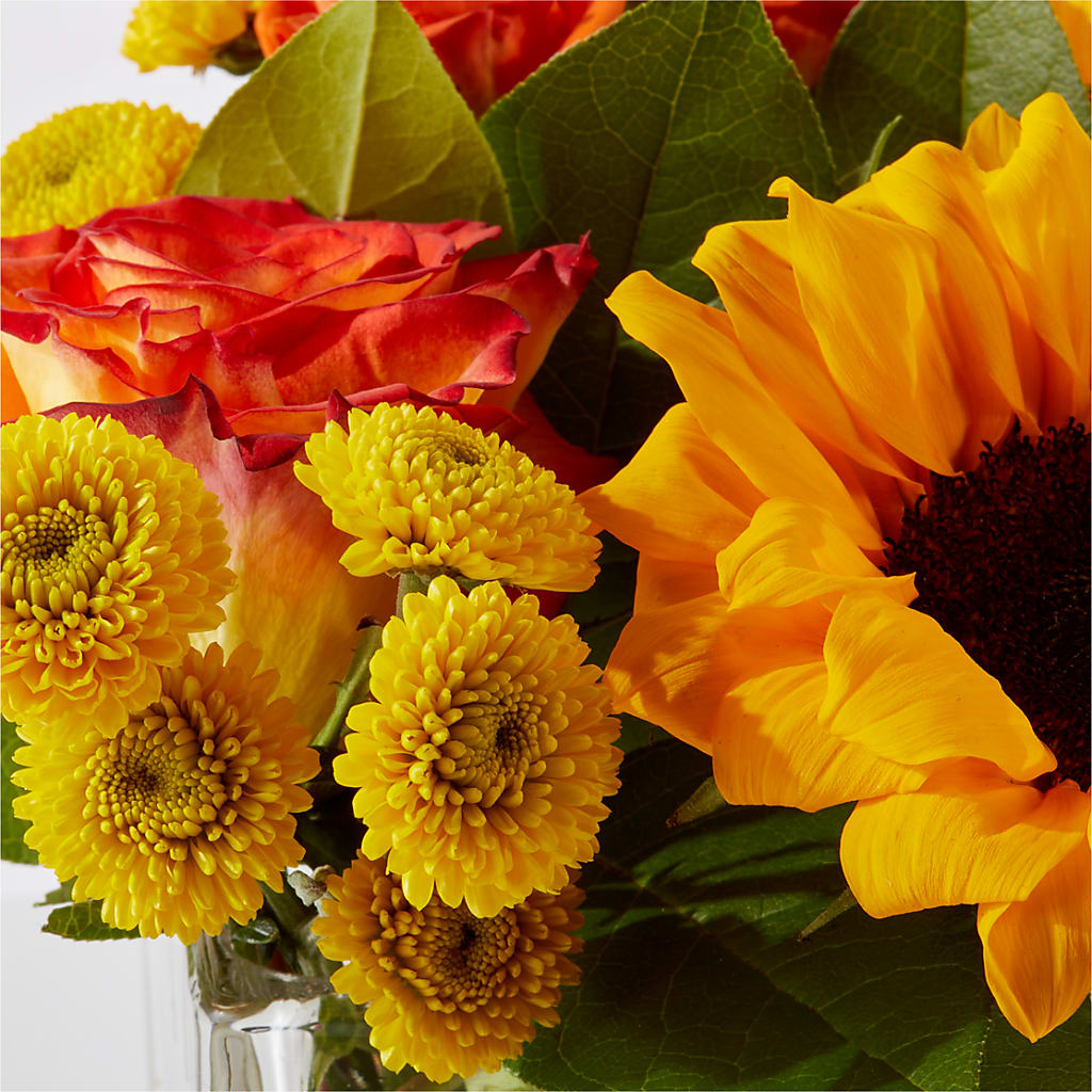 Picnic in the Park Bouquet –  Flowers The Bouquet Of Roses, Tampa FL