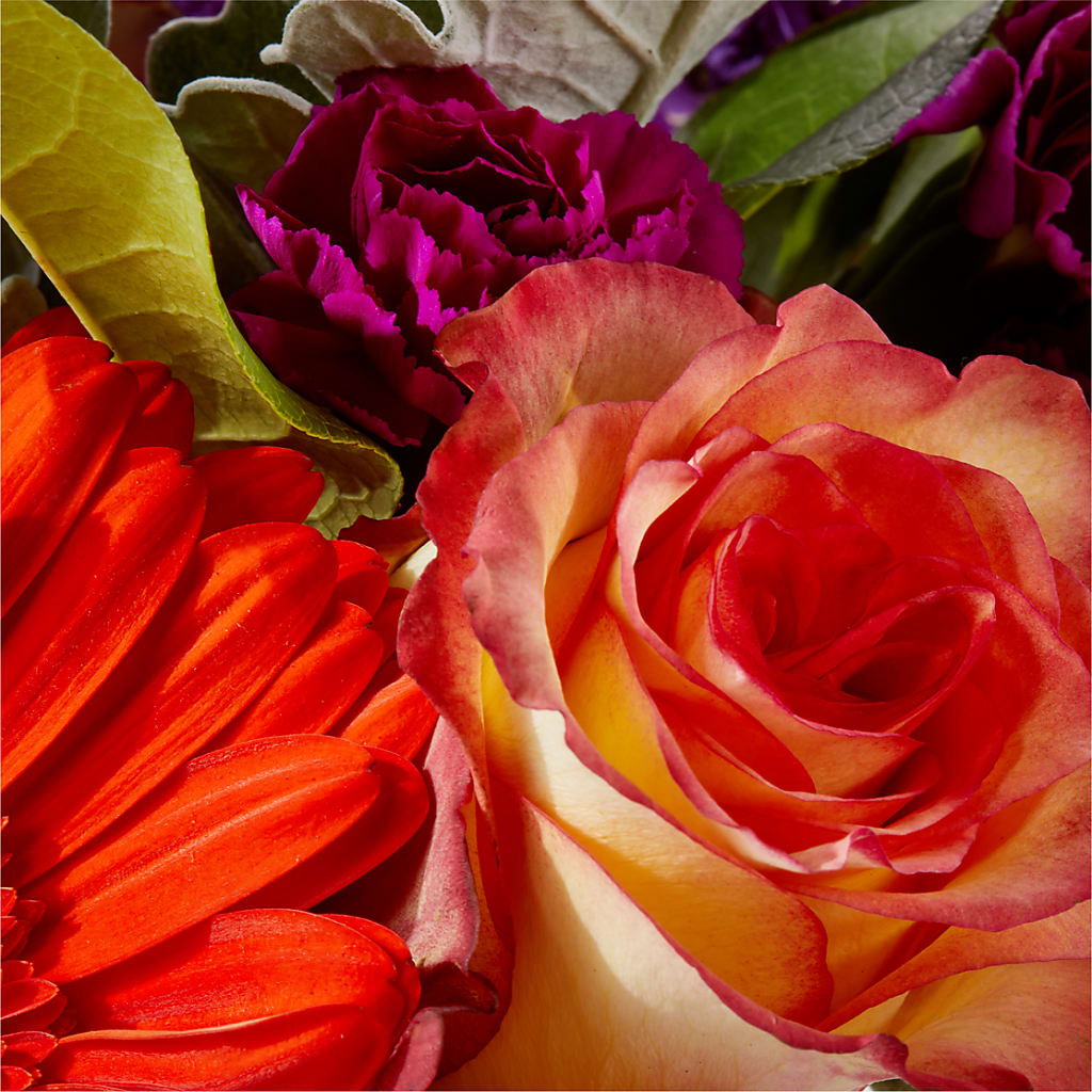 Sangria Bouquet –  Flowers The Bouquet Of Roses, Tampa FL