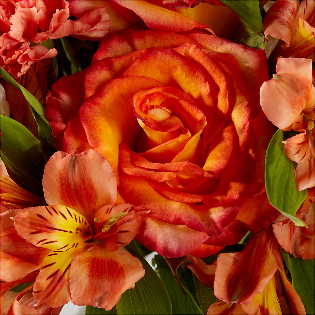 Apricot Glow Bouquet –  Flowers The Bouquet Of Roses, Tampa FL