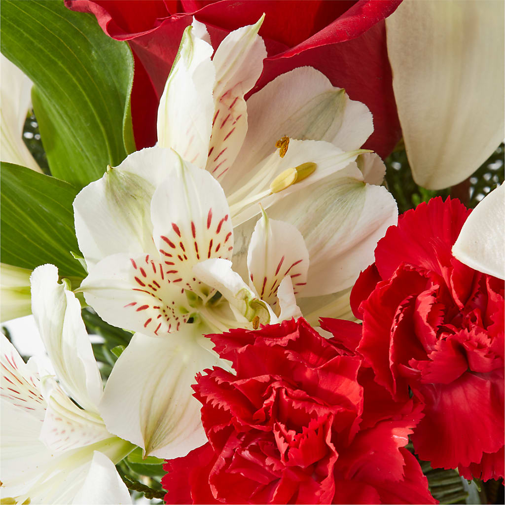 Holiday Season Bouquet –  Flowers The Bouquet Of Roses, Tampa FL