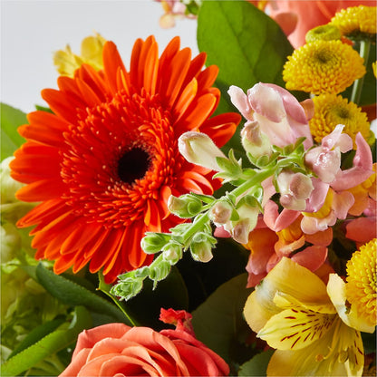 Autumn Sunshine Bouquet –  Flowers The Bouquet Of Roses, Tampa FL