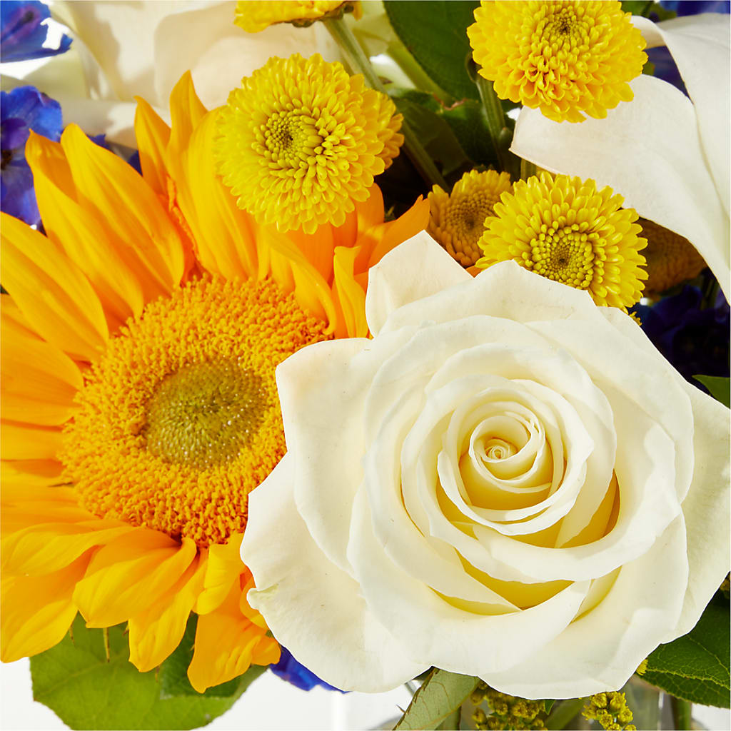 Stargazing Bouquet –  Flowers The Bouquet Of Roses, Tampa FL