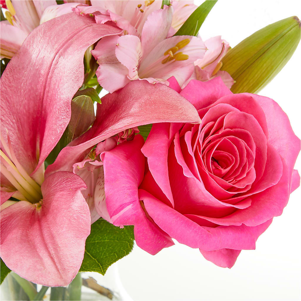 Lots of Love Bouquet –  Flowers The Bouquet Of Roses, Tampa FL