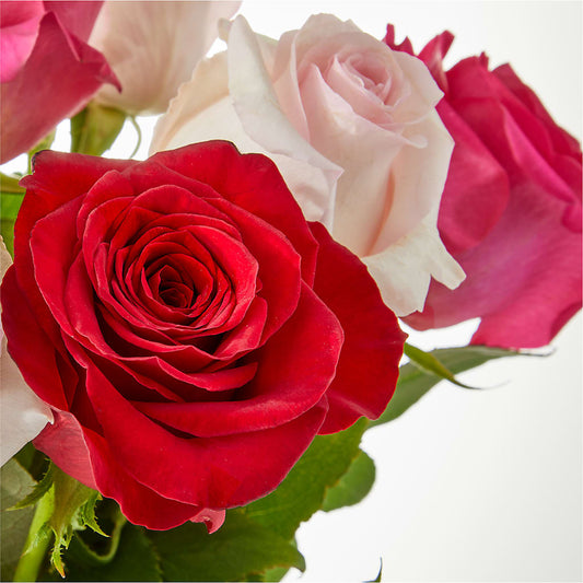 Charming Rose Bouquet –  Flowers The Bouquet Of Roses, Tampa FL