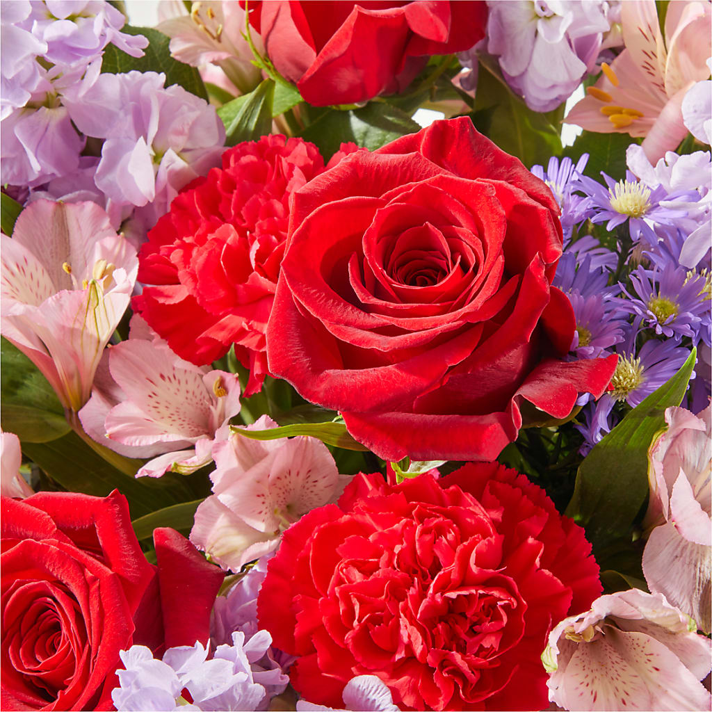 Your Majesty Bouquet –  Flowers The Bouquet Of Roses, Tampa FL