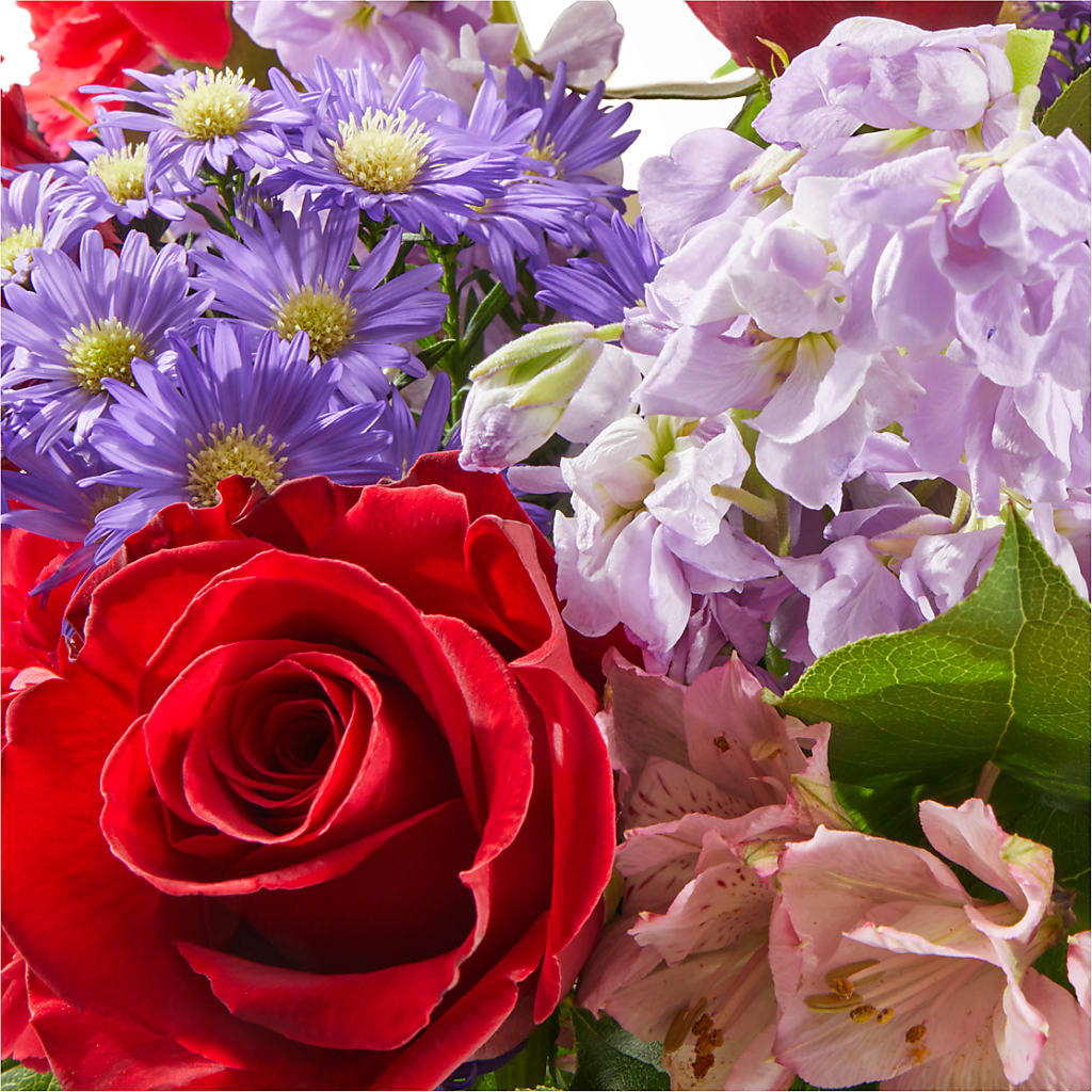 Your Majesty Bouquet –  Flowers The Bouquet Of Roses, Tampa FL