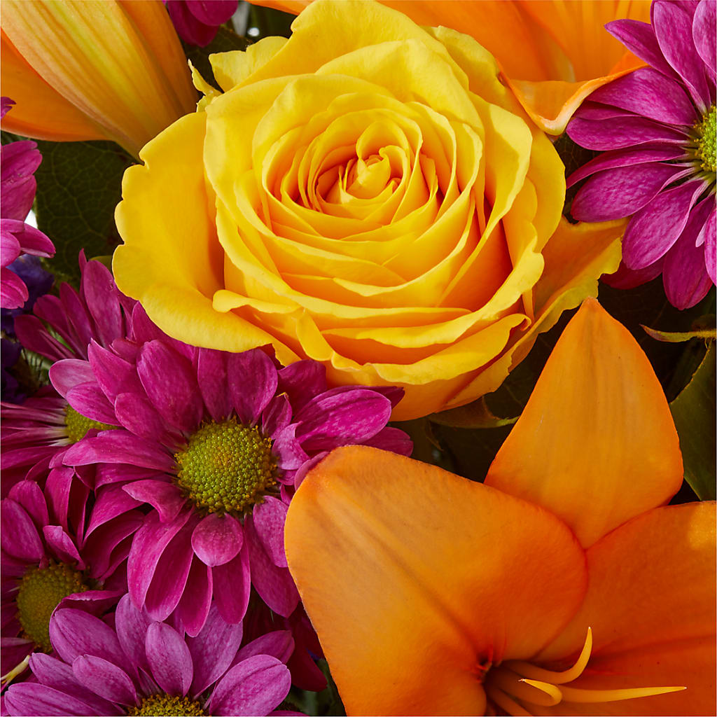 Colorful Visions Bouquet –  Flowers The Bouquet Of Roses, Tampa FL