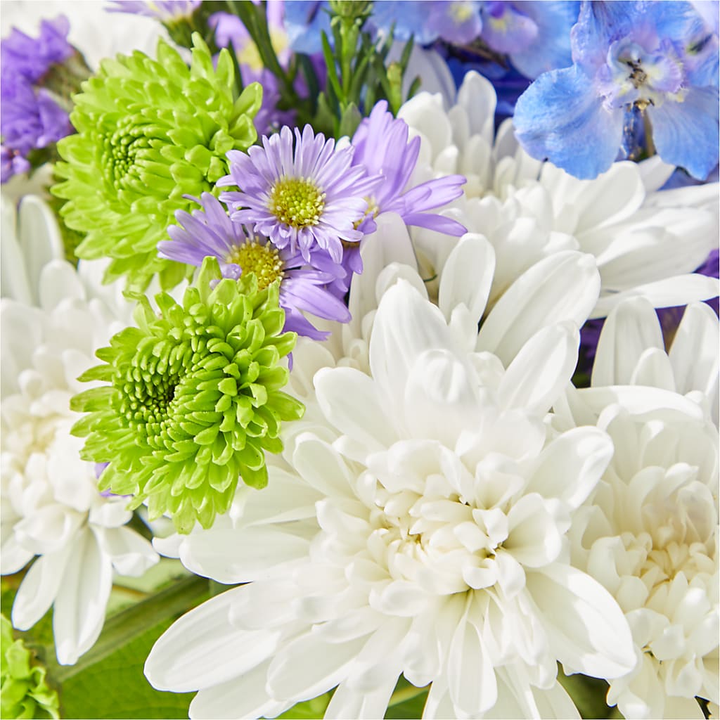 Genuine Gestures Bouquet –  Flowers The Bouquet Of Roses, Tampa FL