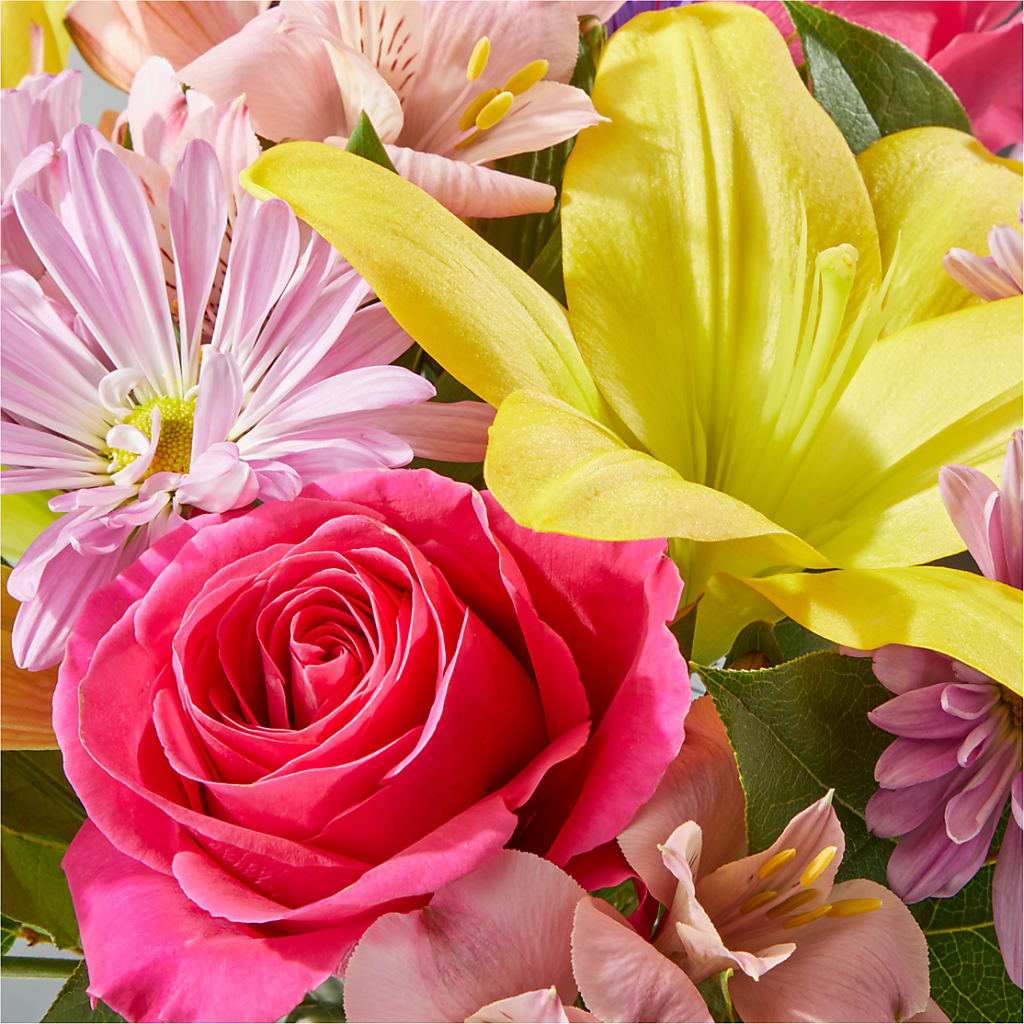 Sprinkles Bouquet –  Flowers The Bouquet Of Roses, Tampa FL