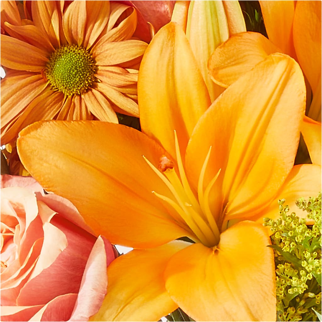 Harvest Hayride Bouquet –  Flowers The Bouquet Of Roses, Tampa FL