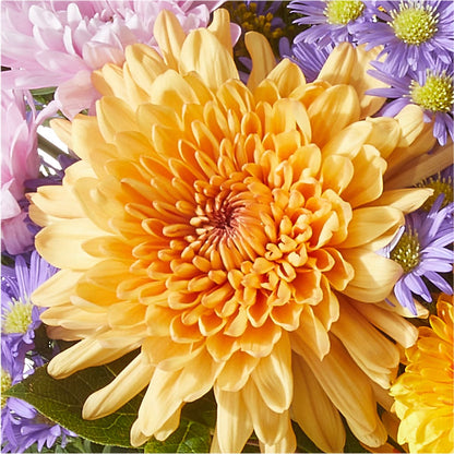 Countryside Bouquet –  Flowers The Bouquet Of Roses, Tampa FL