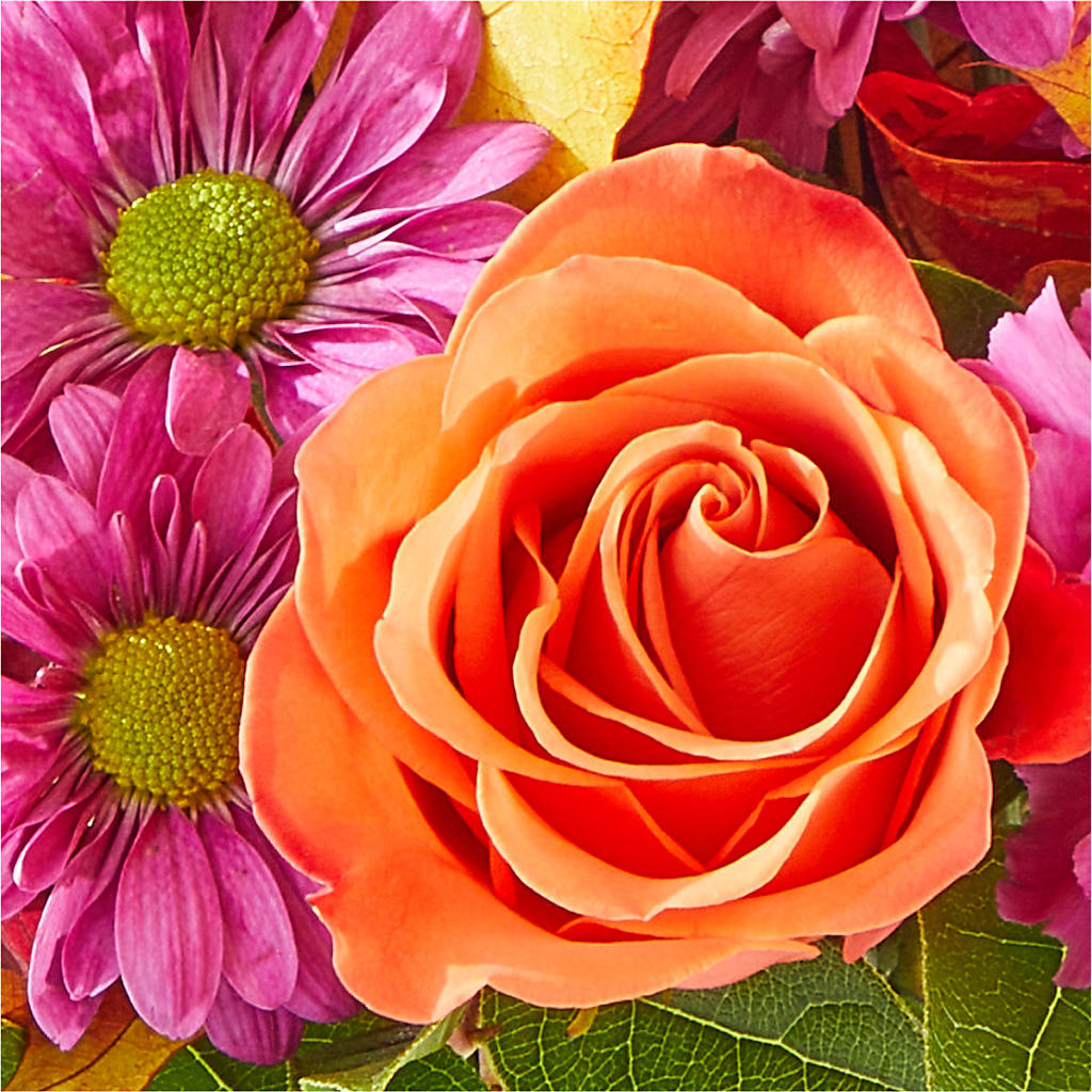 Mum's the Word Bouquet –  Flowers The Bouquet Of Roses, Tampa FL
