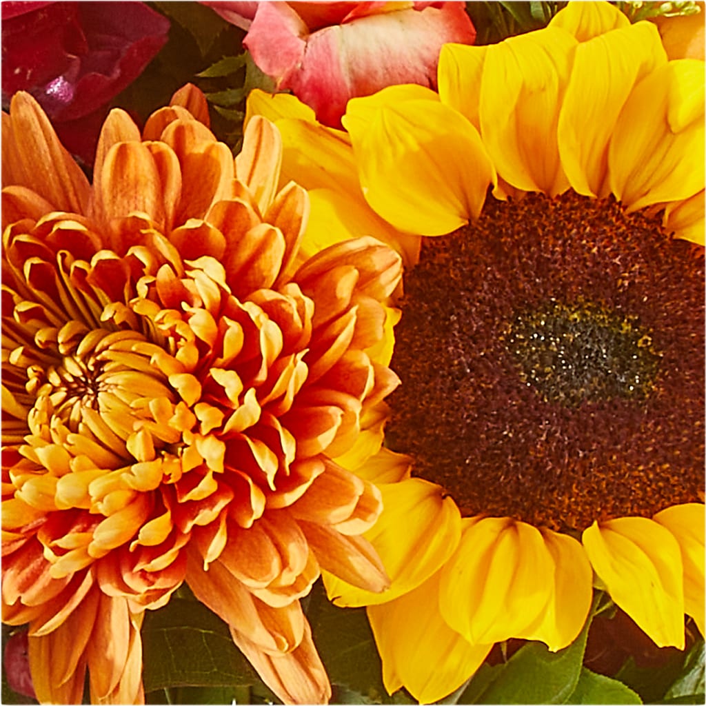Seasons Change Bouquet –  Flowers The Bouquet Of Roses, Tampa FL