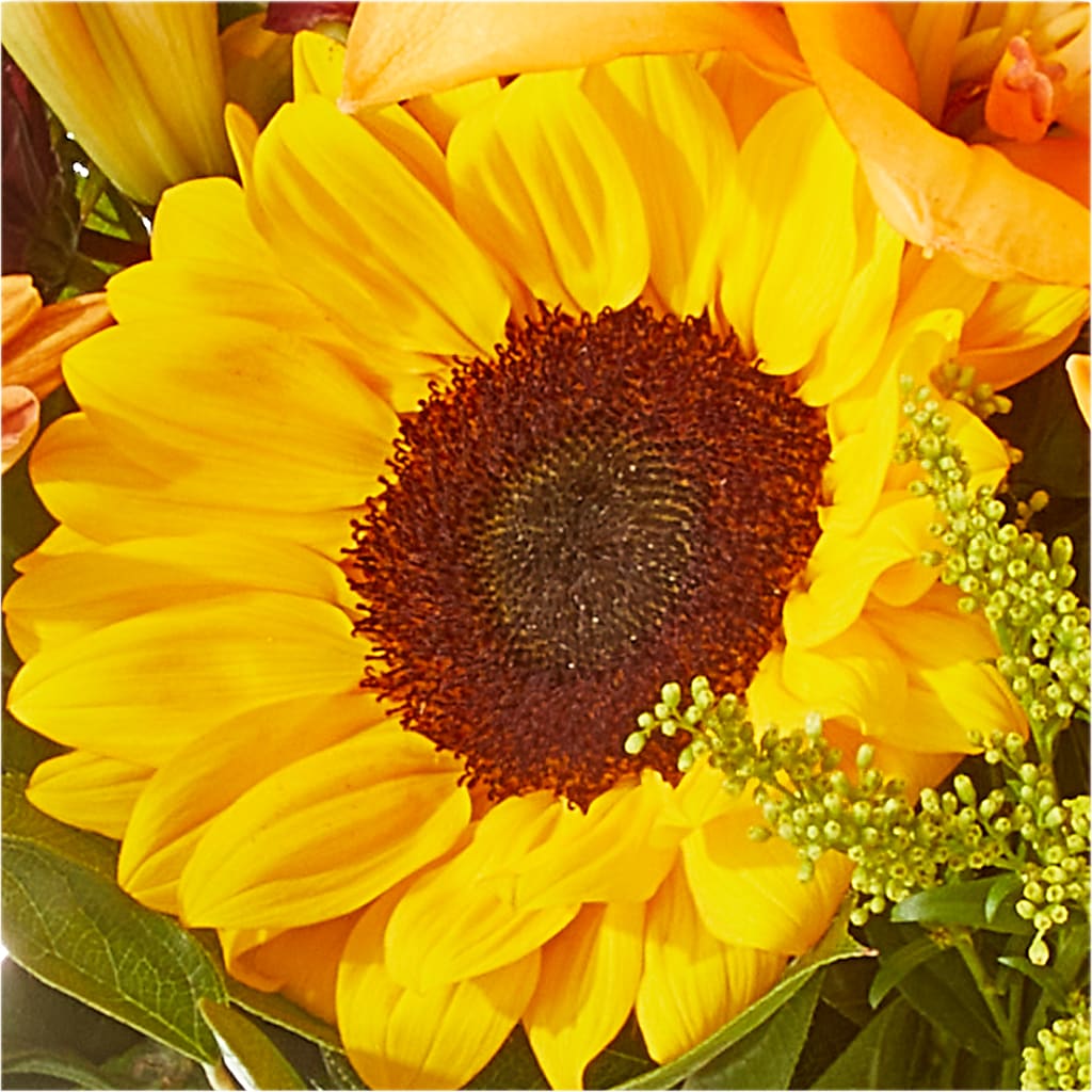 Seasons Change Bouquet –  Flowers The Bouquet Of Roses, Tampa FL