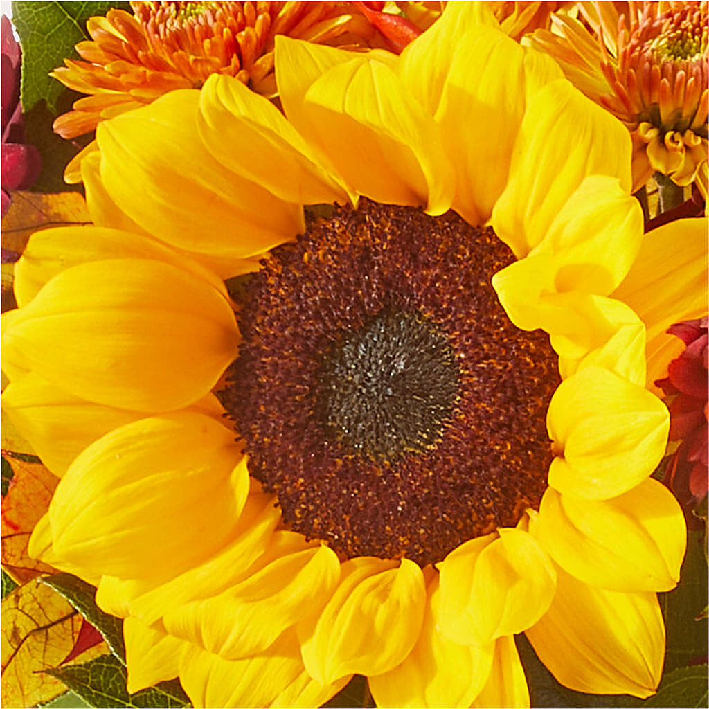Sunny Side Bouquet –  Flowers The Bouquet Of Roses, Tampa FL