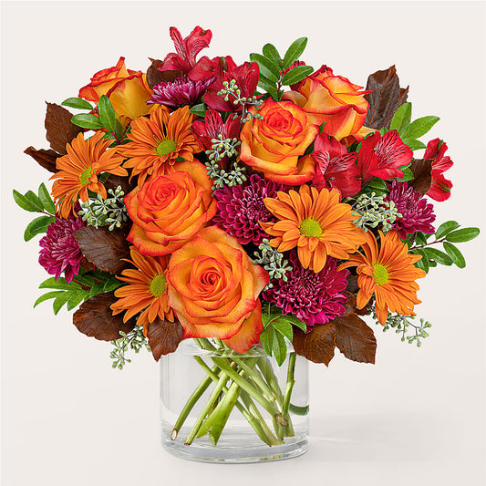 Brisk Morning Bouquet –  Flowers The Bouquet Of Roses, Tampa FL
