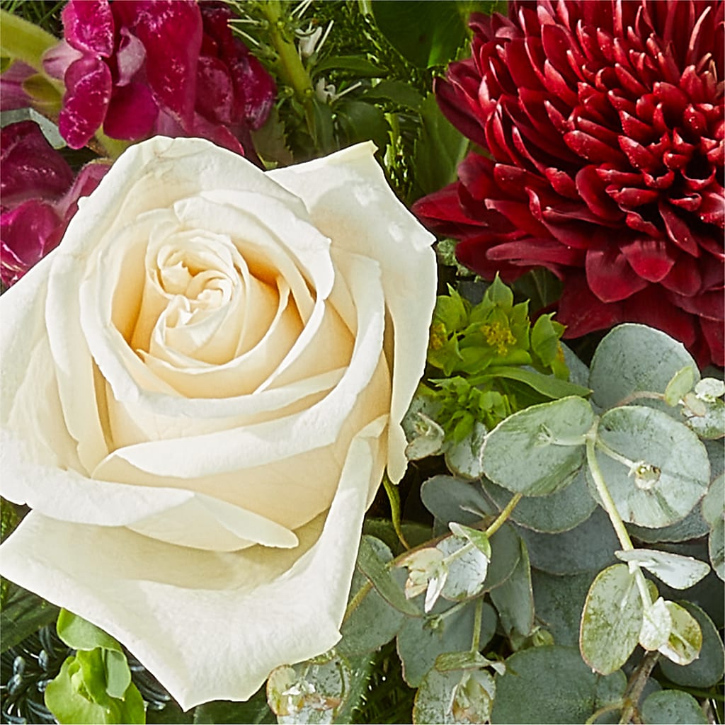 Cranberry Fizz Bouquet –  Flowers The Bouquet Of Roses, Tampa FL