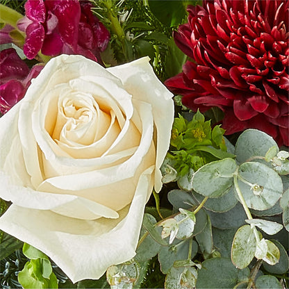 Cranberry Fizz Bouquet –  Flowers The Bouquet Of Roses, Tampa FL