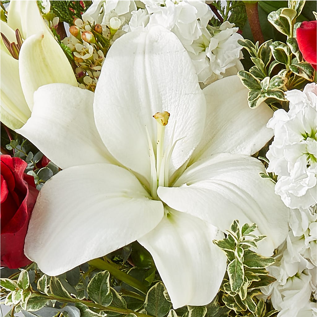 Twinkle Lights Bouquet –  Flowers The Bouquet Of Roses, Tampa FL