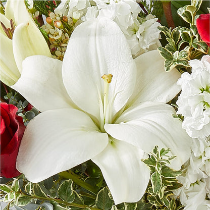 Twinkle Lights Bouquet –  Flowers The Bouquet Of Roses, Tampa FL