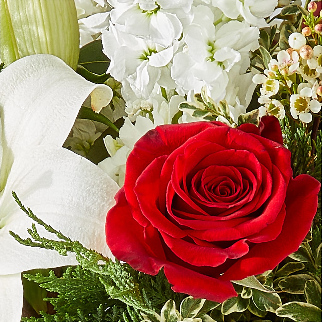 Twinkle Lights Bouquet –  Flowers The Bouquet Of Roses, Tampa FL