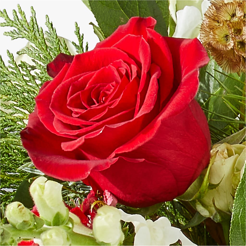 Deck the Halls Bouquet –  Flowers The Bouquet Of Roses, Tampa FL