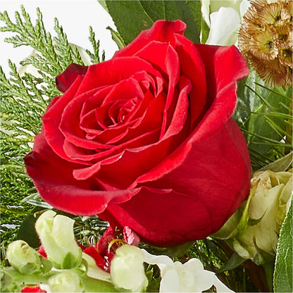 Deck the Halls Bouquet –  Flowers The Bouquet Of Roses, Tampa FL