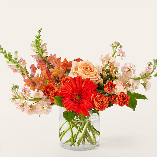Paloma Please Bouquet –  Flowers The Bouquet Of Roses, Tampa FL