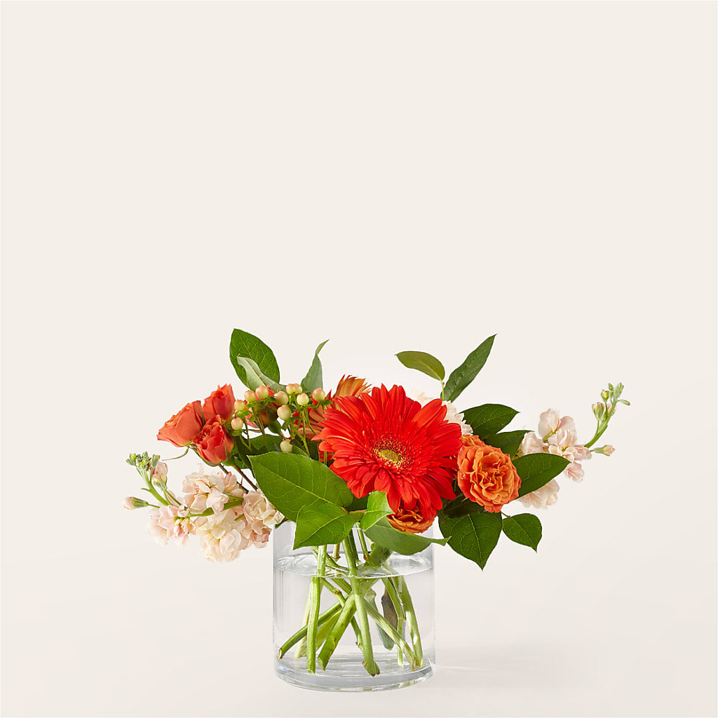 Paloma Please Bouquet –  Flowers The Bouquet Of Roses, Tampa FL