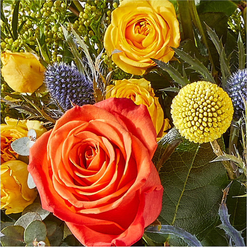 Disco Bouquet –  Flowers The Bouquet Of Roses, Tampa FL