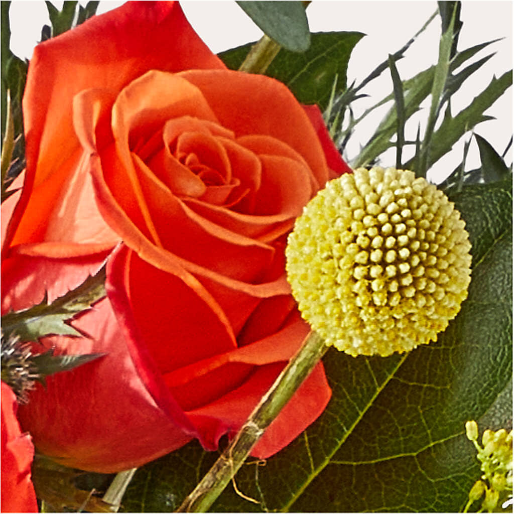 Disco Bouquet –  Flowers The Bouquet Of Roses, Tampa FL