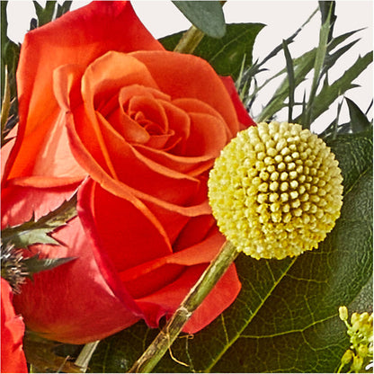 Disco Bouquet –  Flowers The Bouquet Of Roses, Tampa FL
