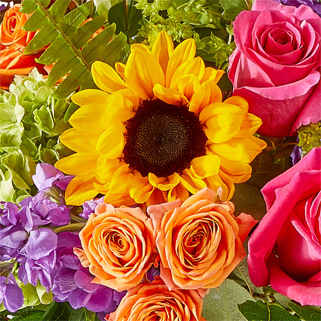 Vibrant Greetings Bouquet –  Flowers The Bouquet Of Roses, Tampa FL